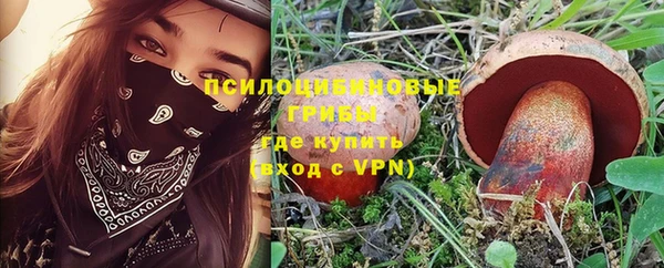 индика Абаза