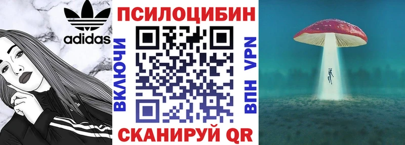 Псилоцибиновые грибы Cubensis  Ирбит 